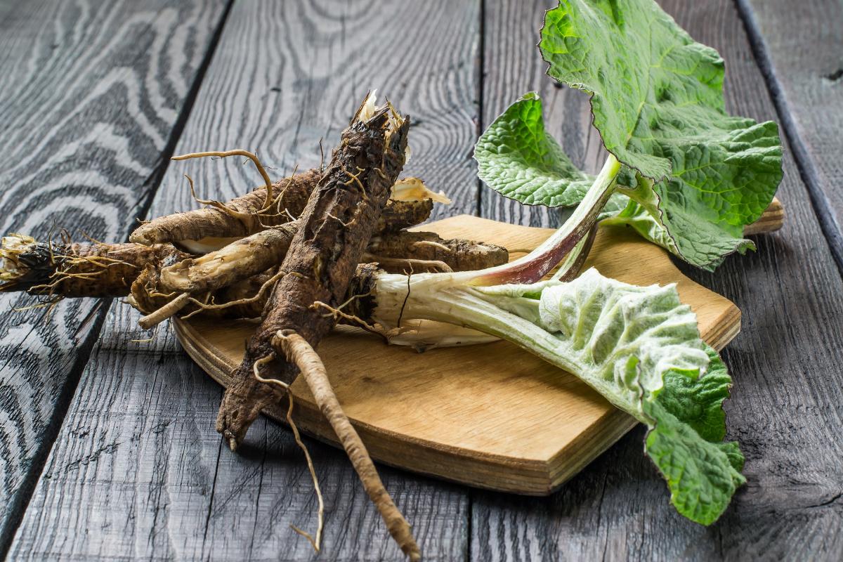 Burdock Root: Nature's Detoxifier