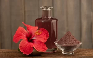 Hibiscus: Nature’s Wellness Secret